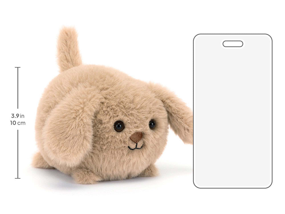 Caboodle Puppy