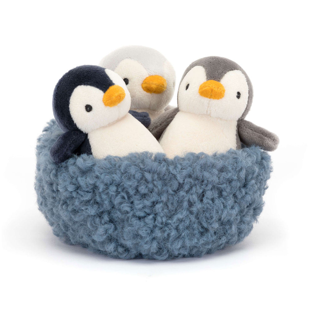 Arctic & Antarctic