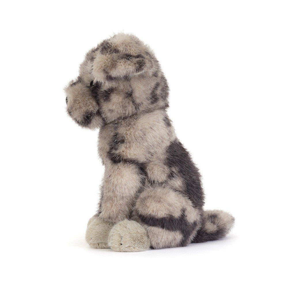 Fluff Rescue Dog