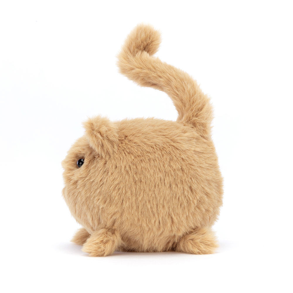 Kitten Caboodle
