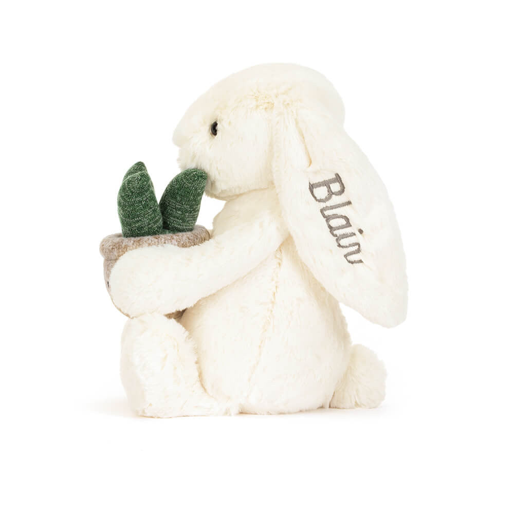 Personalised Cream Bunny with Plant